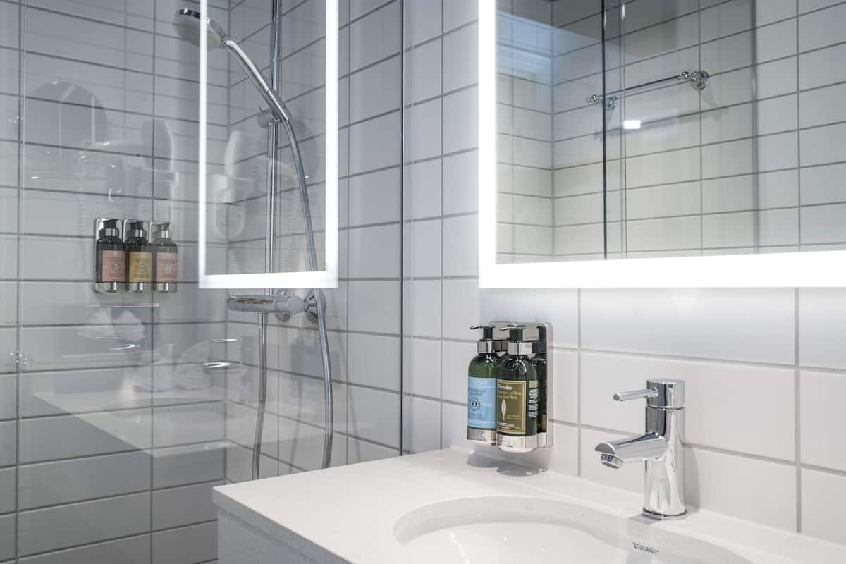 standard room, 1 double bed, non smoking, balcony | bathroom | shower, hydromassage showerhead, free toiletries, hair dryer