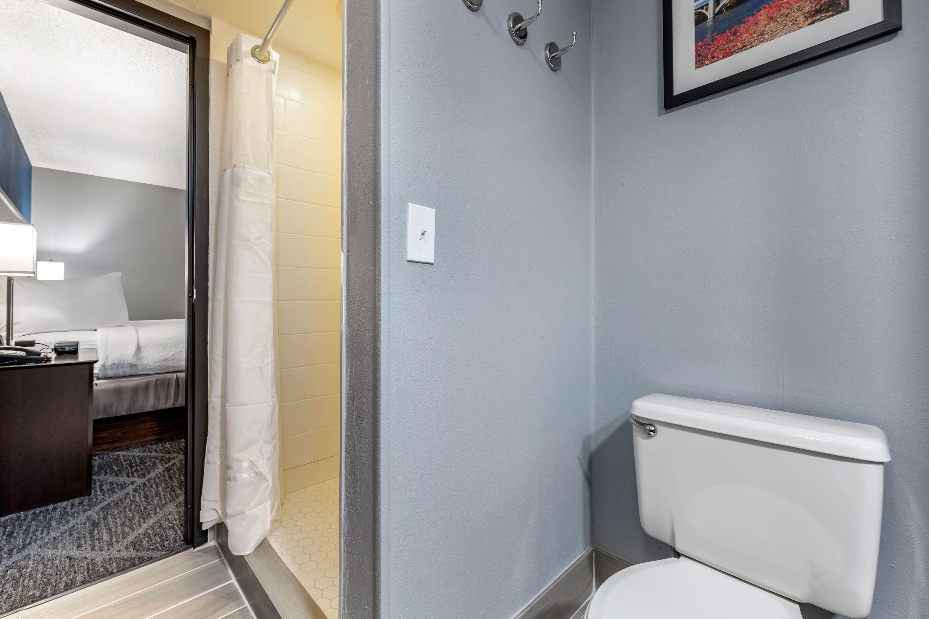 A bathroom with a toilet, a shower curtain, a bed, and a bedside table.