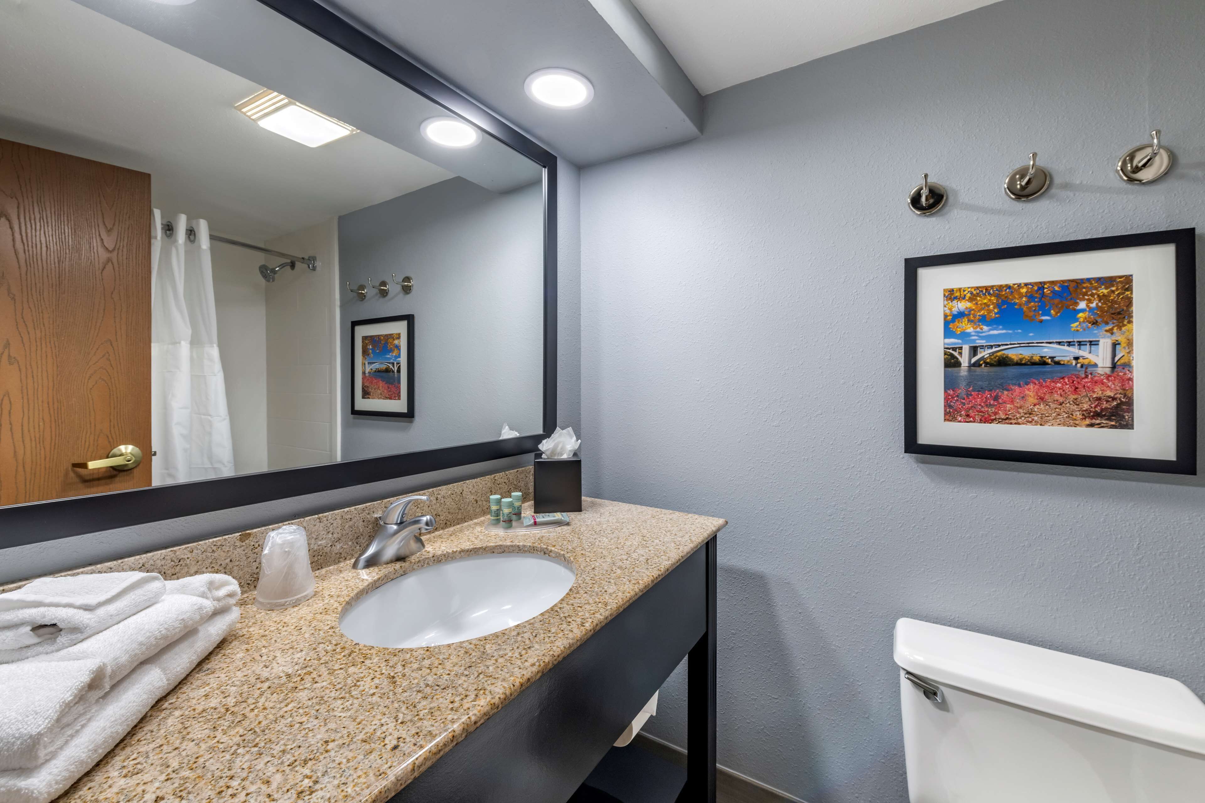 A bathroom with a granite countertop, white sink, and a large mirror. There is a framed picture on the wall and a toilet visible.
