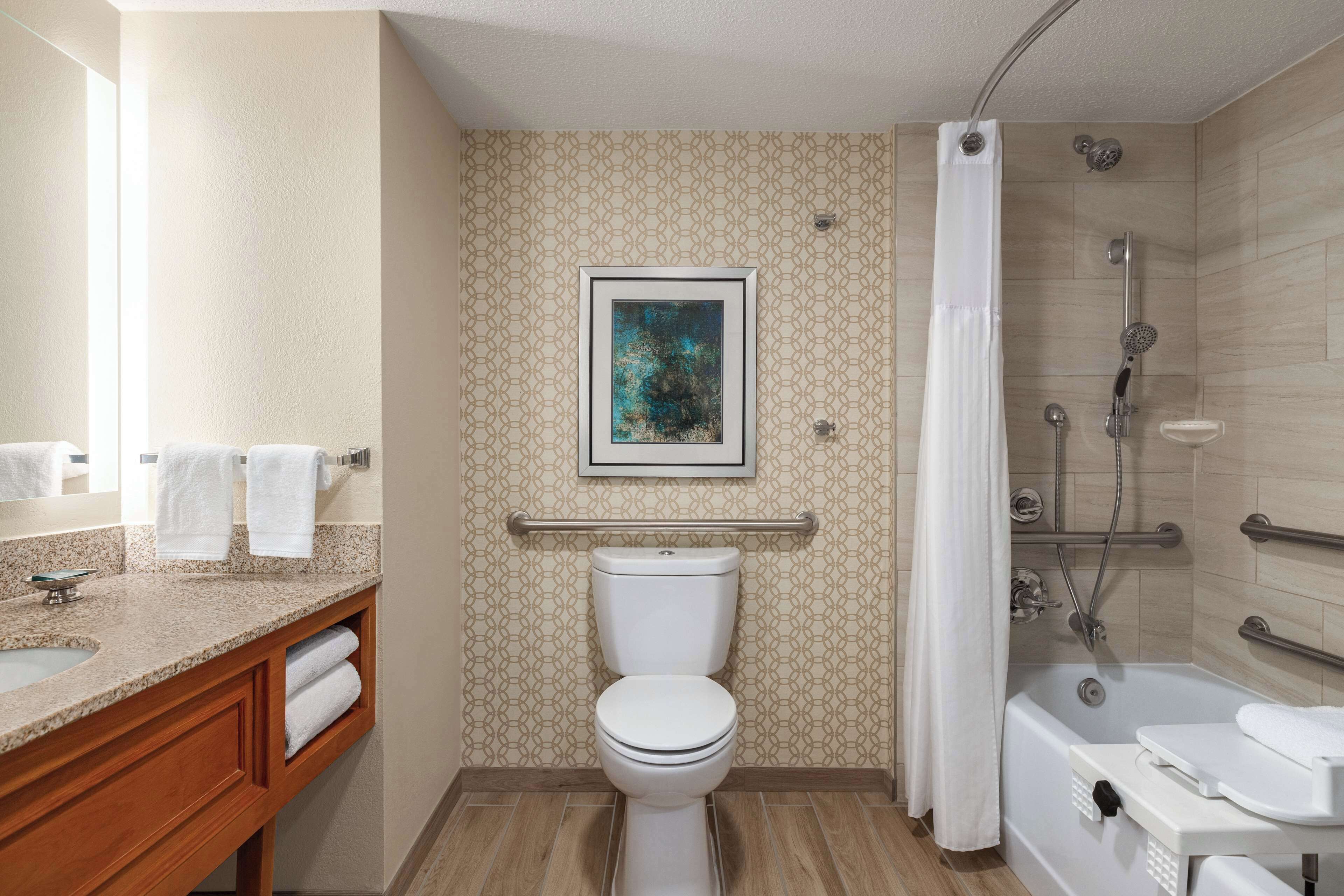 room, 1 king bed, accessible, bathtub (mobility & hearing) | bathroom | free toiletries, hair dryer, towels, soap