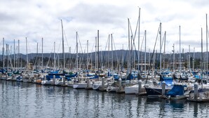 A marina with numerous boats docked, calm water, and a mountainous backdrop. - The Monterey Hotel (Monterey)