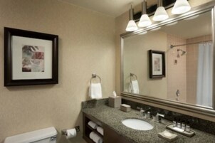 A bathroom with a large mirror, a sink, a towel rack, and a framed picture on the wall.
