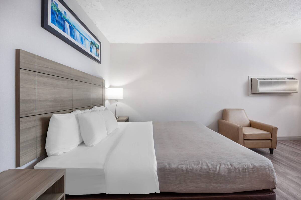 Room, 1 King Bed, Non Smoking | Premium bedding, desk, iron/ironing board, cribs (free)