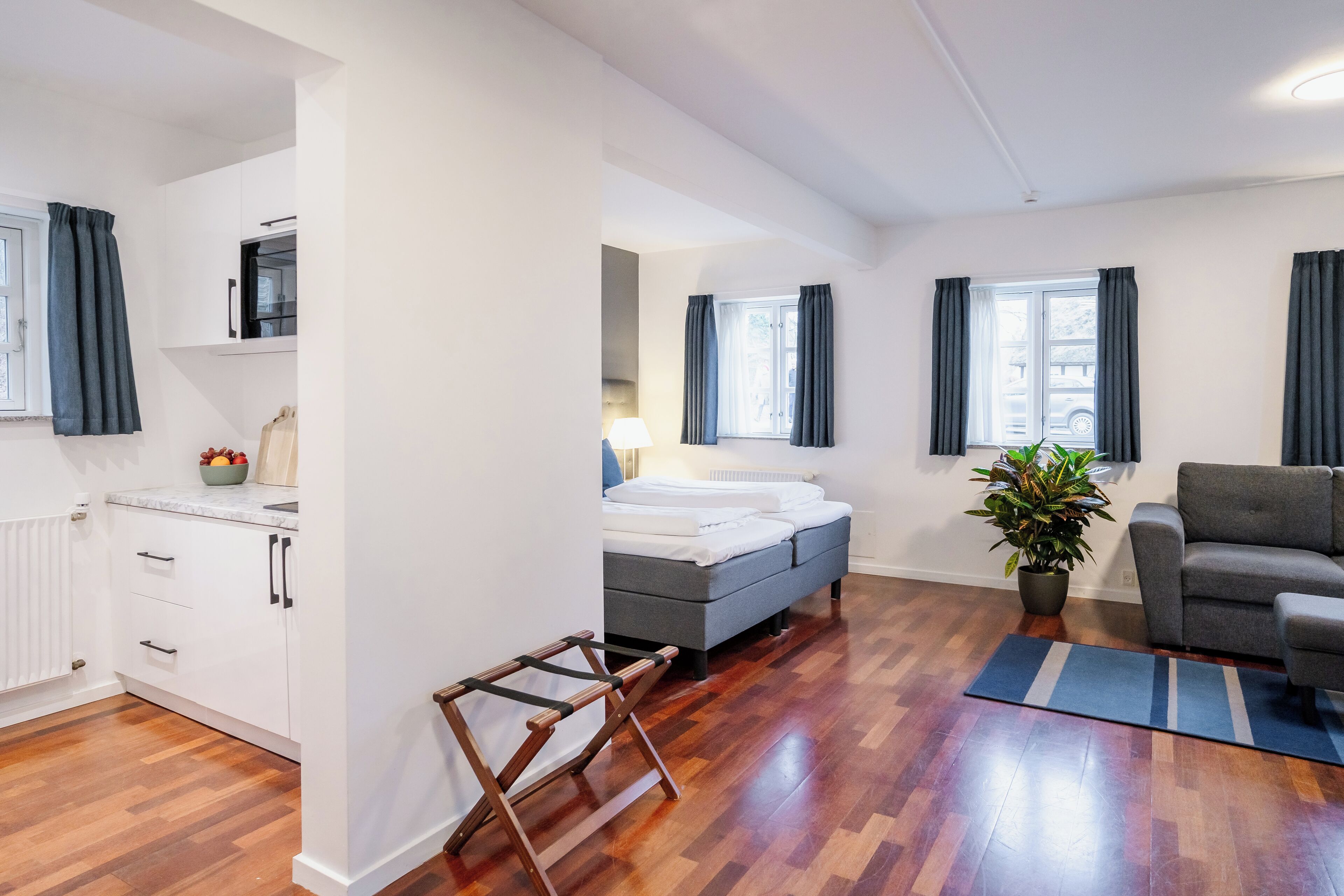 Un appartement moderne comprenant un lit, un canapé gris, un plancher en bois, des murs blancs et une plante en pot.