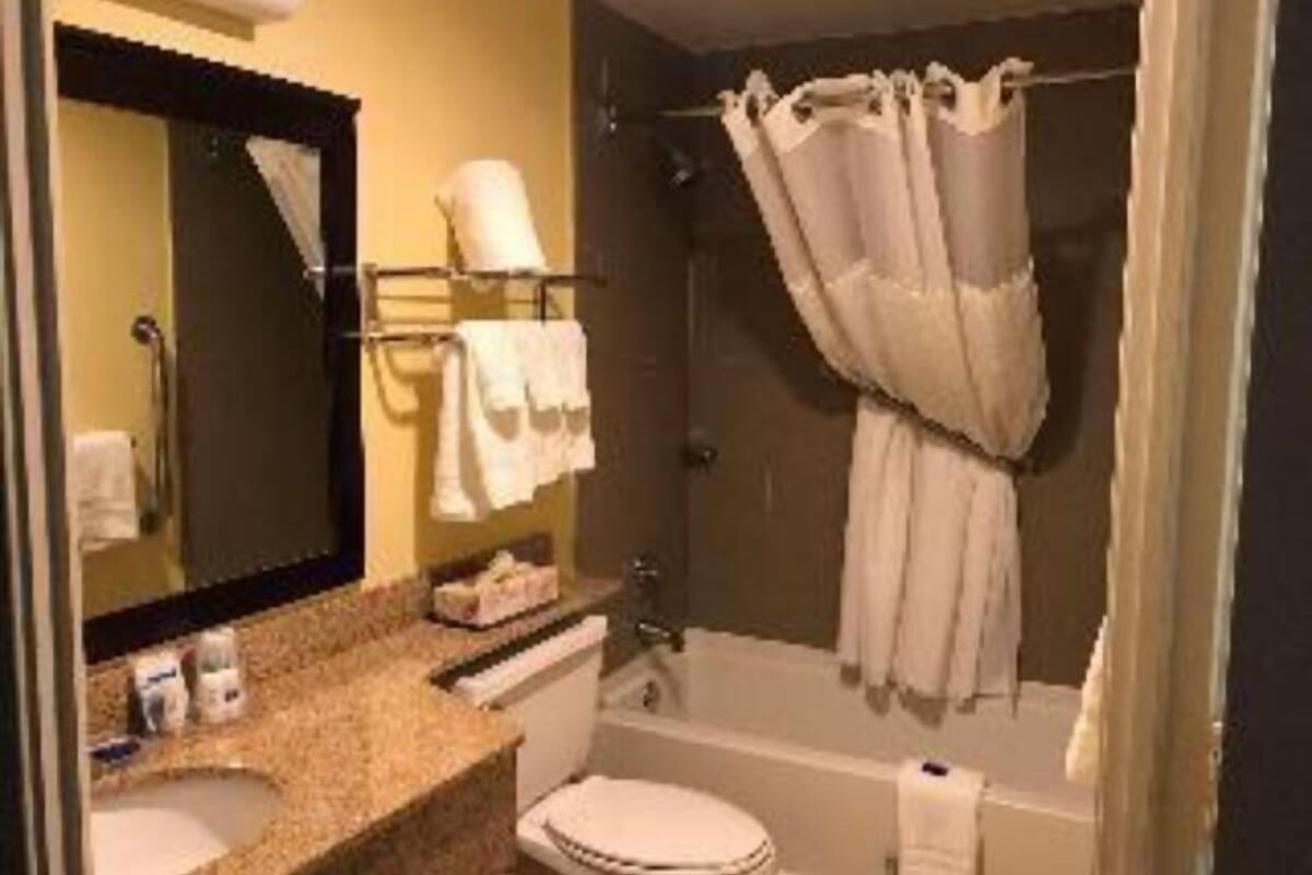 Un baño con lavamanos, inodoro y zona de ducha.
