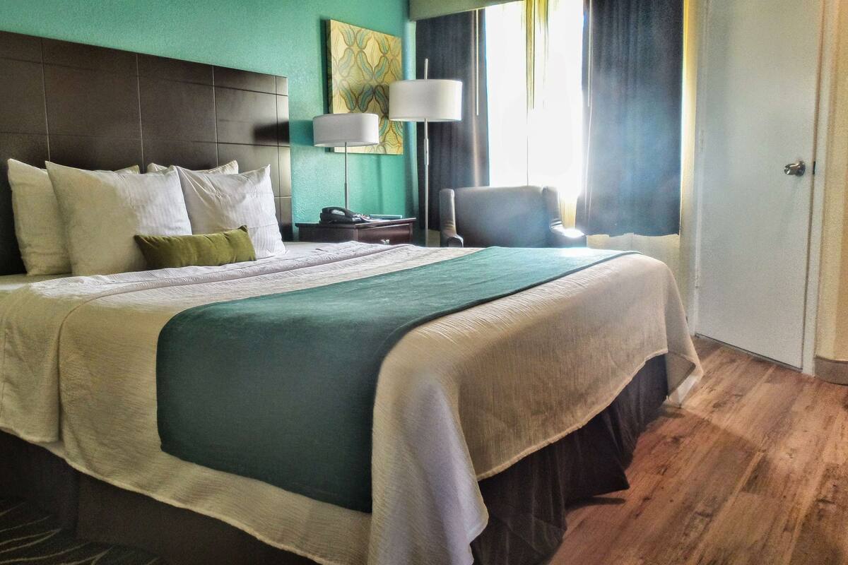 Habitación de hotel con una cama grande, una mesita de noche, un escritorio, una silla y una ventana con cortinas.
