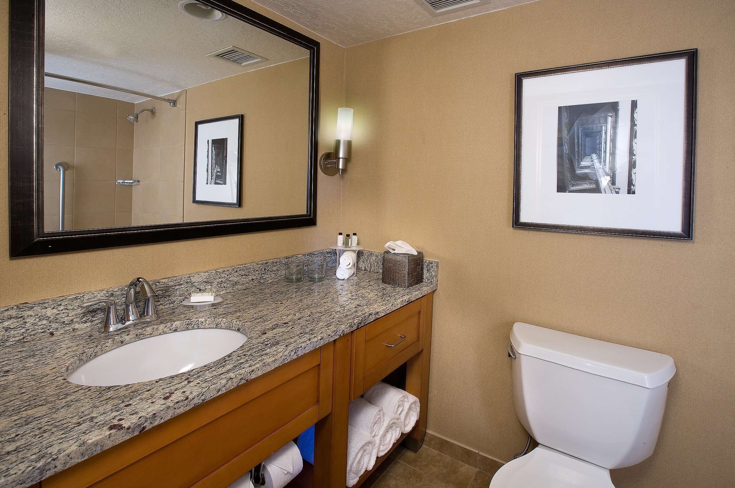 A bathroom with a sink, mirror, framed artwork, and a toilet.