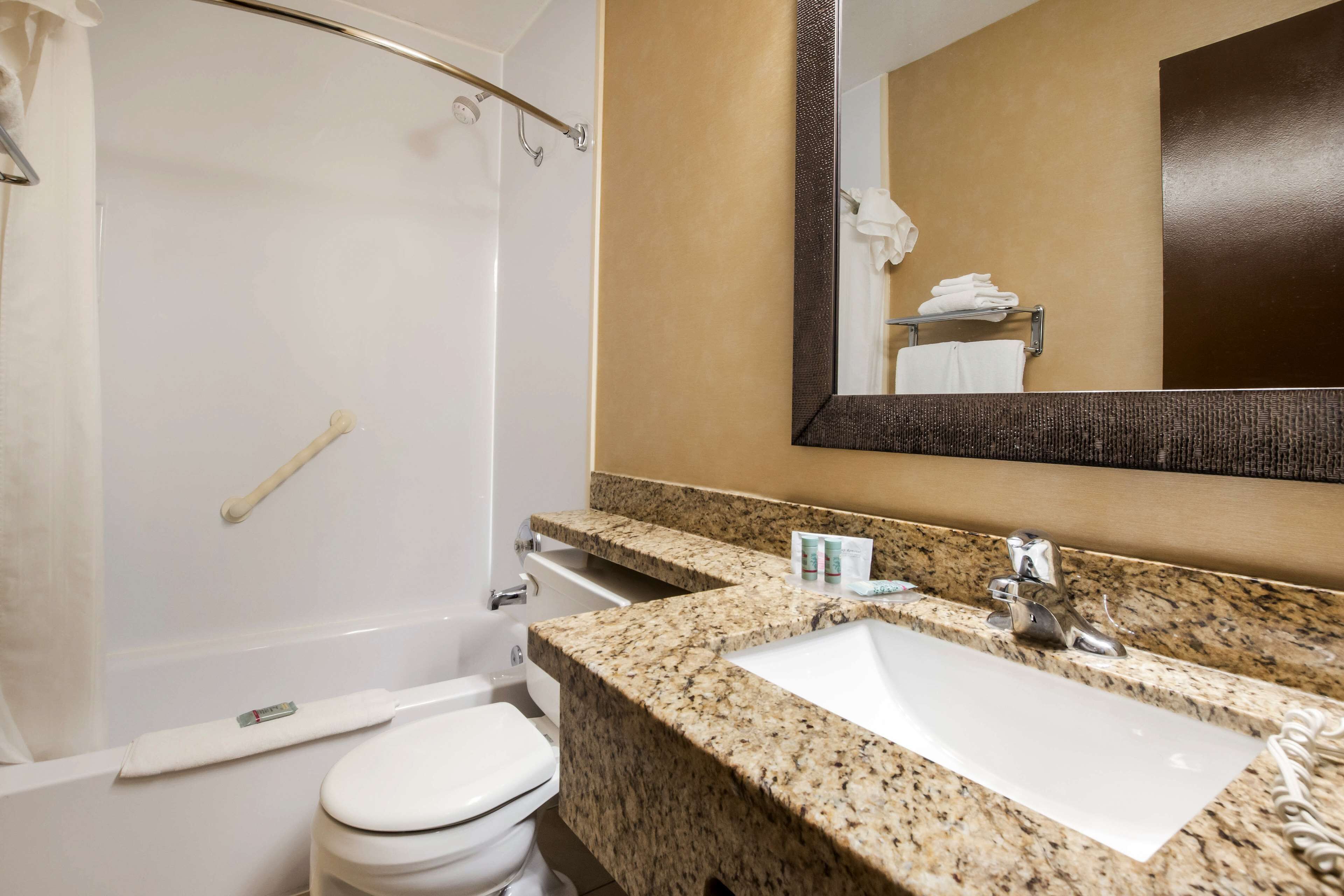 A bathroom with a white toilet, a sink with a granite countertop, and a shower area.