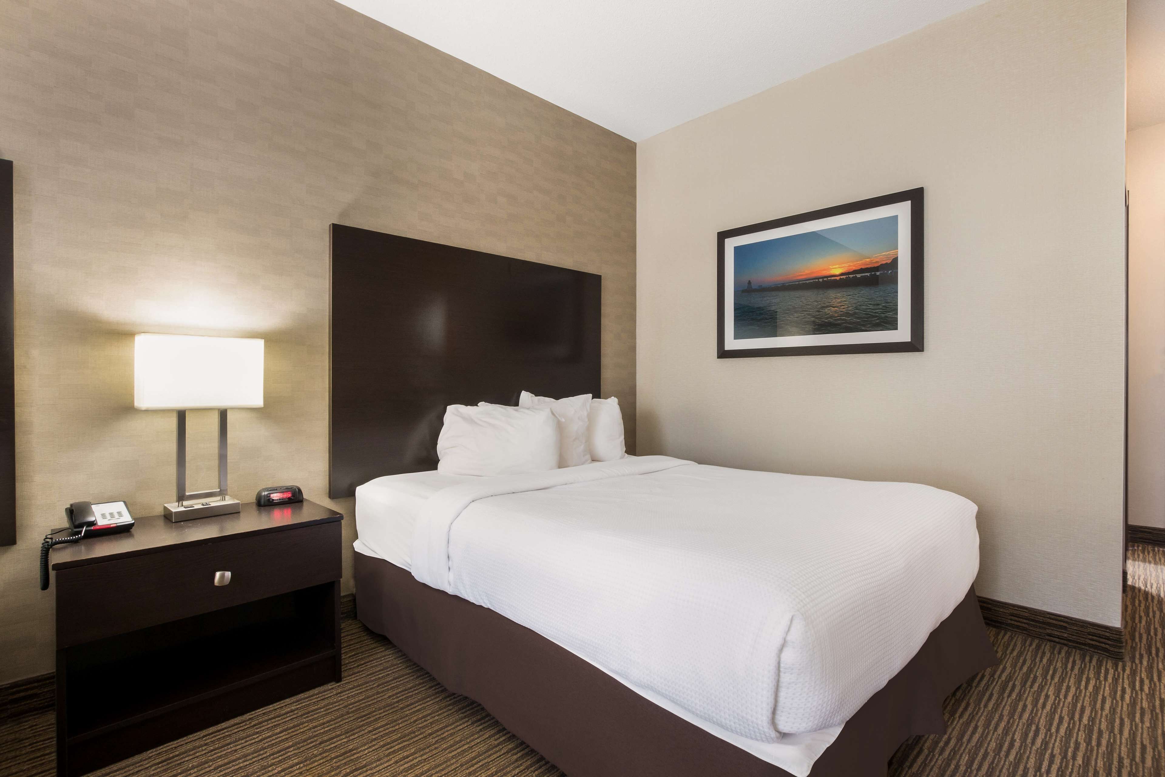 Et hotelværelse med en stor seng, et natbord med en lampe, et billede i ramme på væggen og et tæppe på gulvet.
