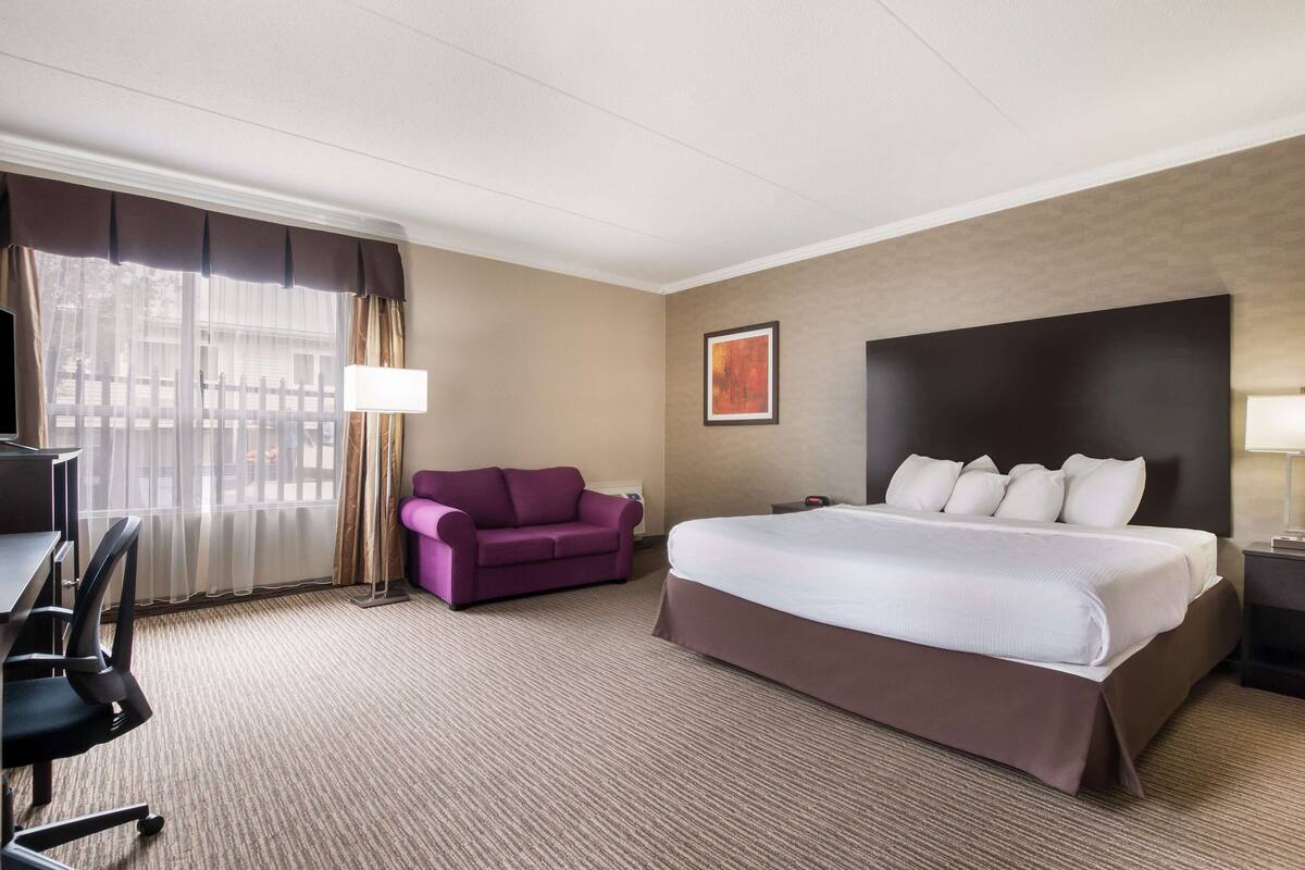 Habitación de hotel con una cama grande, un sofá púrpura, un escritorio con una silla y un televisor.