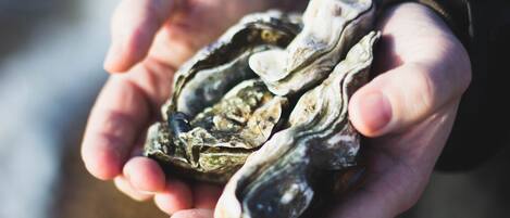 A person holding a handful of oysters.