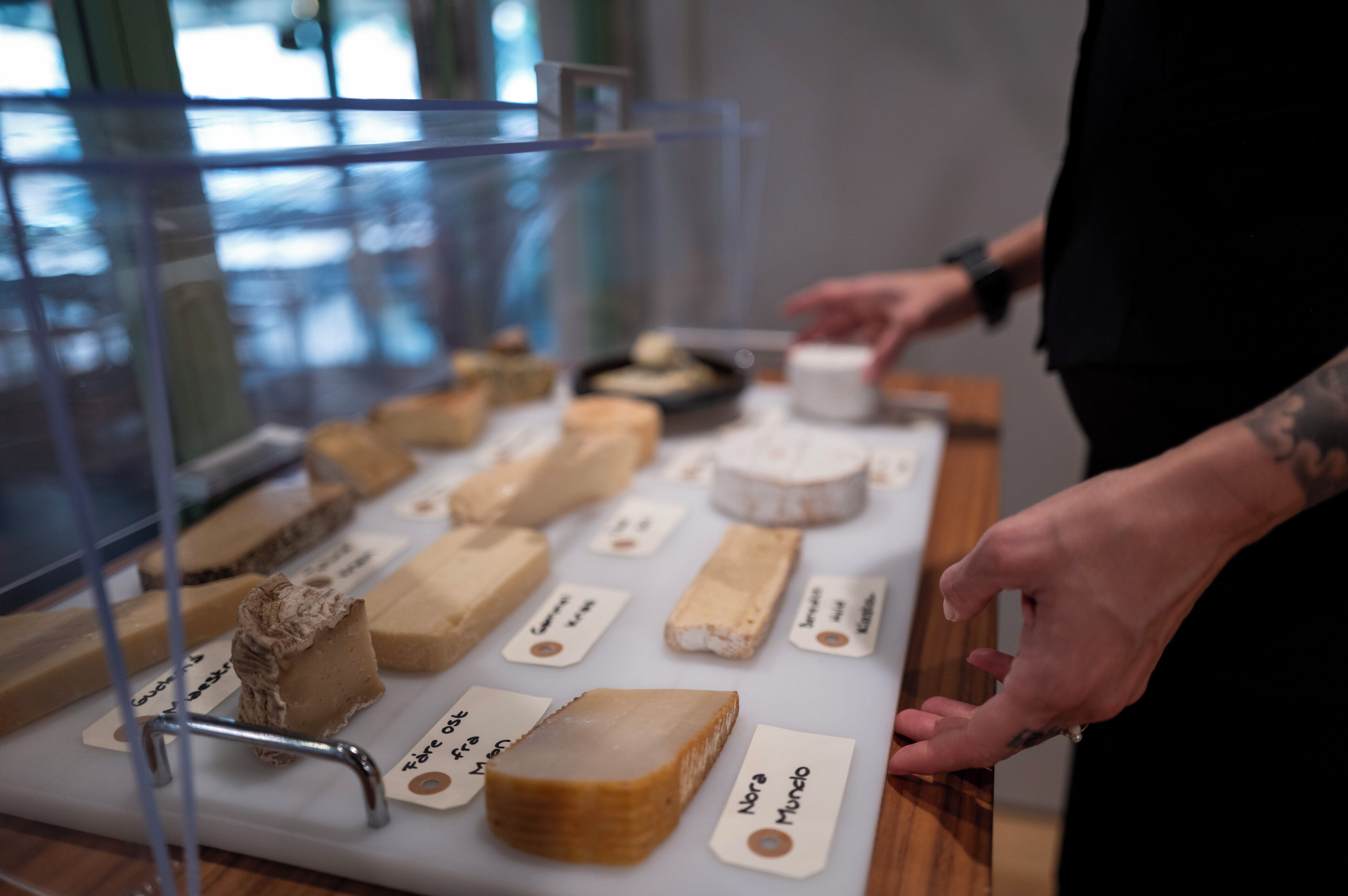 A display of various cheeses on a table with labels, a person reaching for one, and a glass display case in the background.