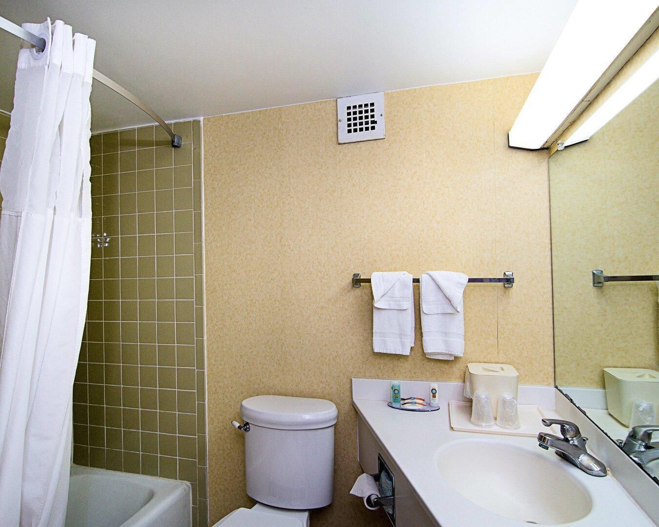 Un baño con inodoro, lavamanos y ducha.