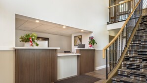 Un área de recepción con un mostrador de madera, una computadora y una planta. Se ve una escalera con alfombra estampada que lleva a un nivel superior.