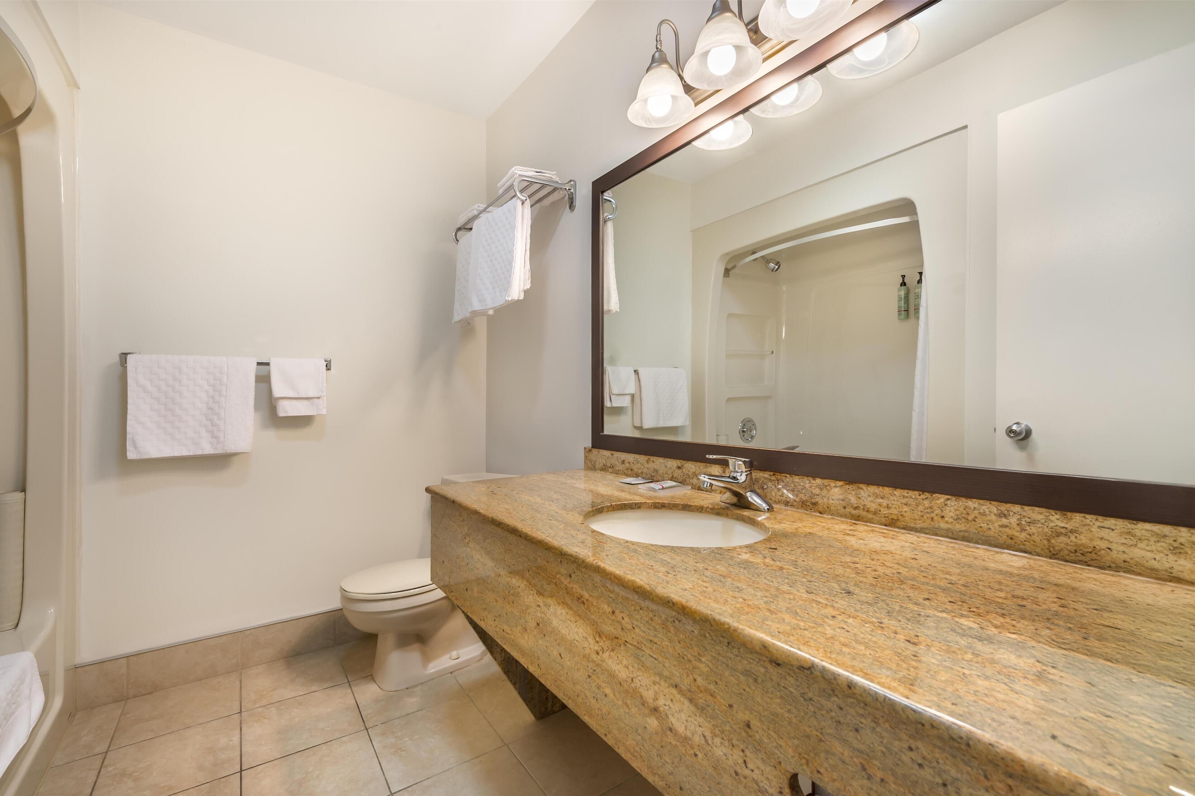 Un baño con lavamanos de encimera de granito, un espejo grande y un inodoro.