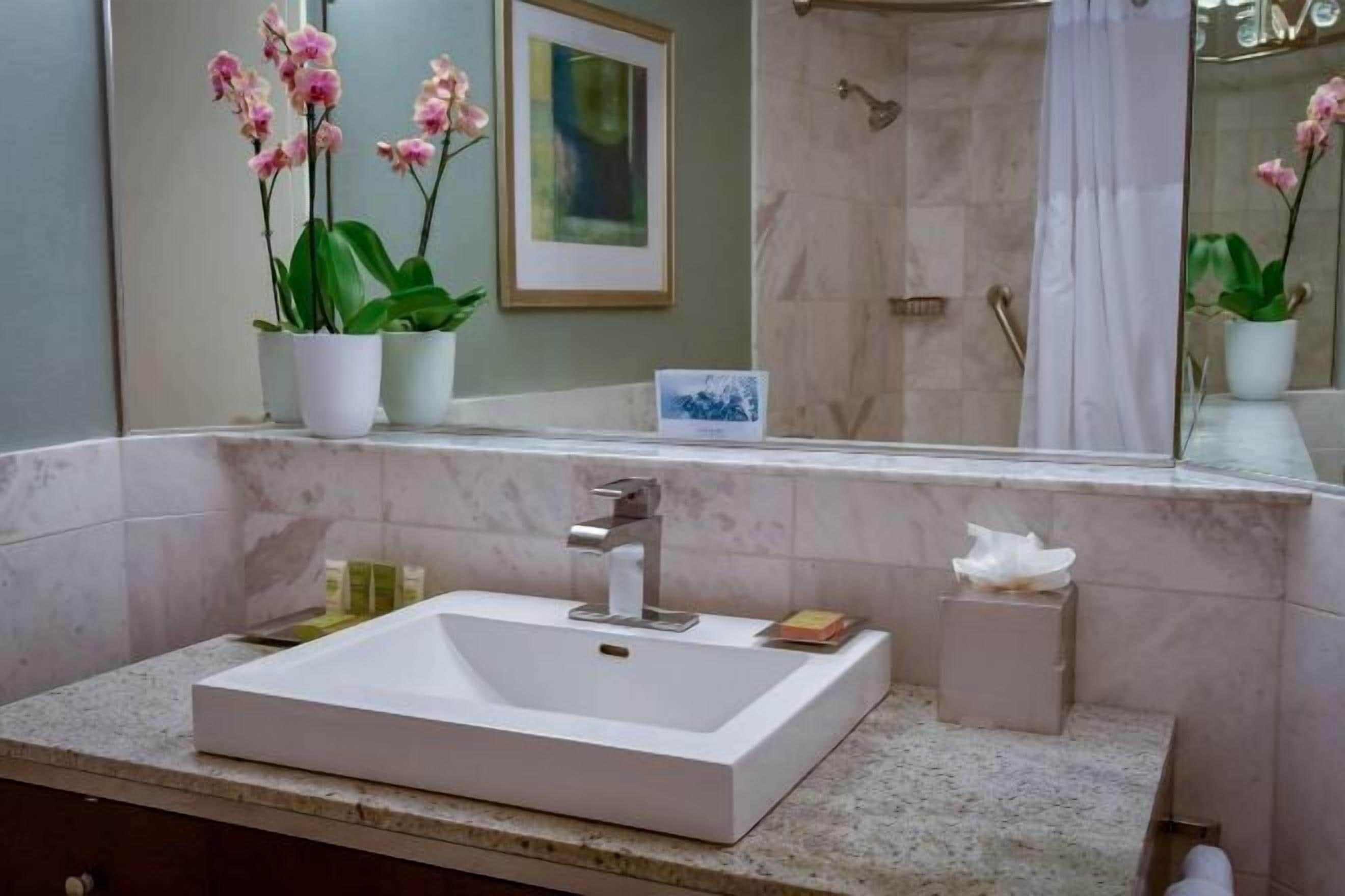 Hydromassage showerhead, designer toiletries, hair dryer, towels