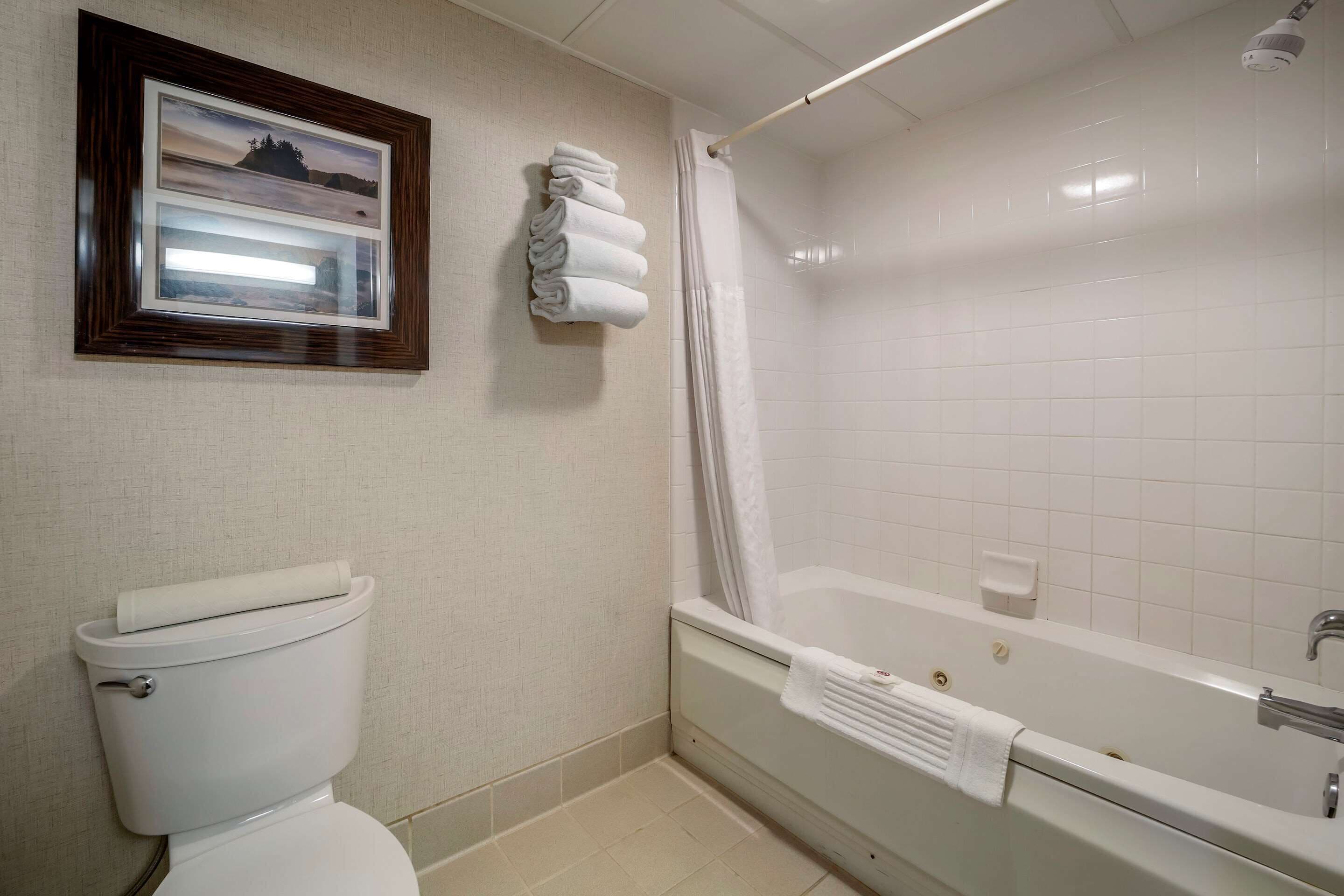 A bathroom with a toilet, a bathtub, and a framed picture on the wall.