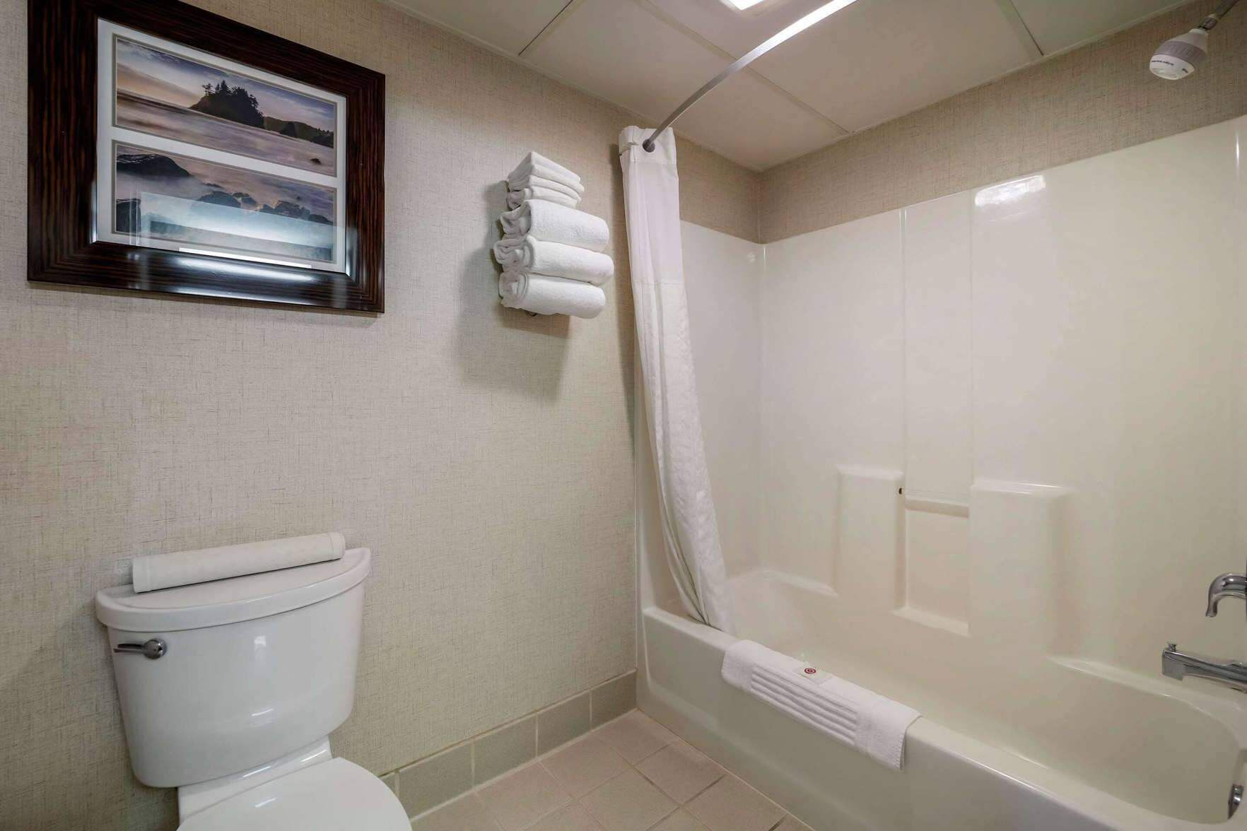 Bathroom | Combined shower/tub, free toiletries, hair dryer, towels