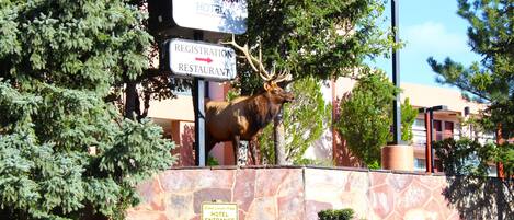 A sign for Grand Canyon Plaza Hotel with a registration restaurant sign and an elk statue.