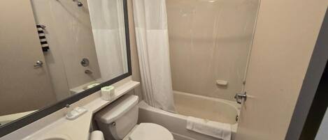 Une salle de bain équipée de toilettes, d’un lavabo, d’un miroir, d’une douche et d’une baignoire.