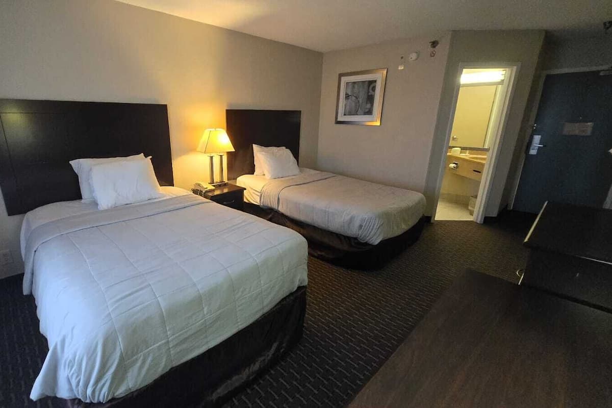 1 King Bed & 2 Full Bed