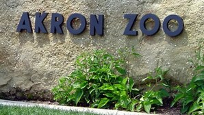 A large stone wall with the words "AKRON ZOO" engraved on it. - Copley Inn & Suites By OYO Akron OH (Akron)