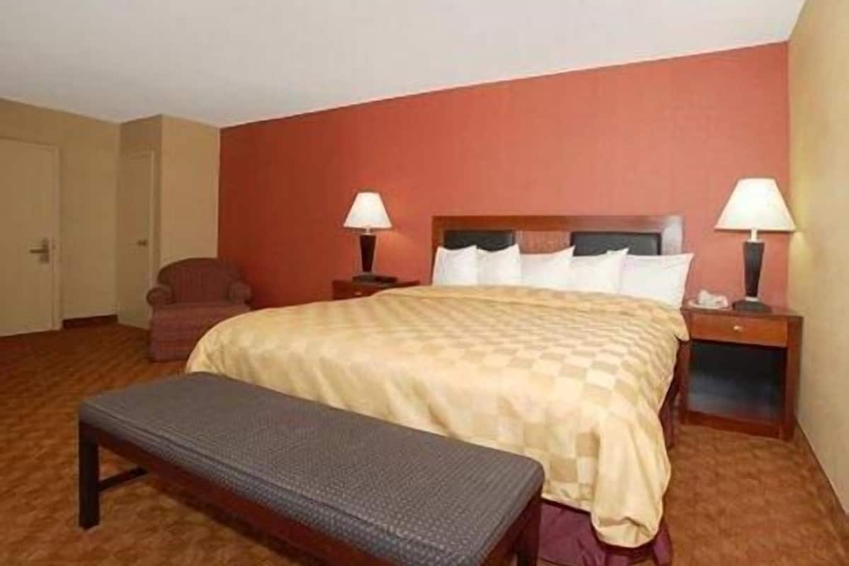 business room, 1 king bed, non smoking | hypo-allergenic bedding, desk, iron/ironing board, cots/infant beds