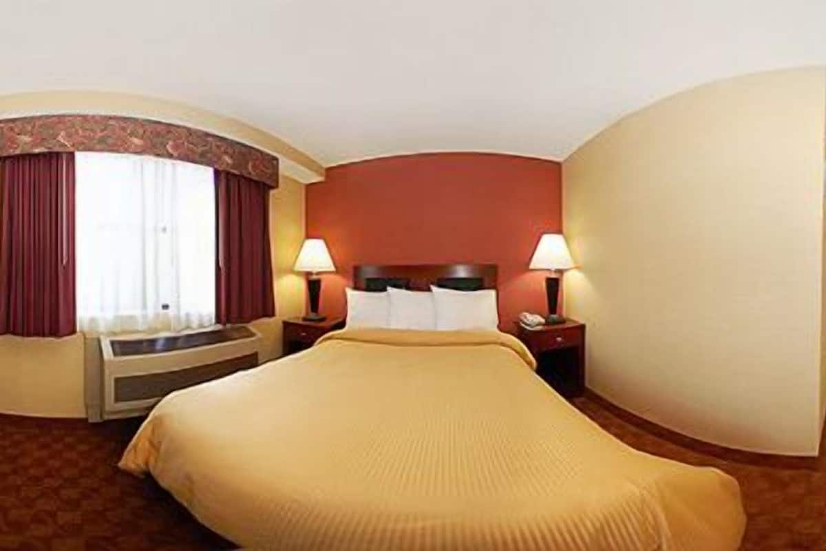 standard double room, non smoking | hypo-allergenic bedding, desk, iron/ironing board, cots/infant beds