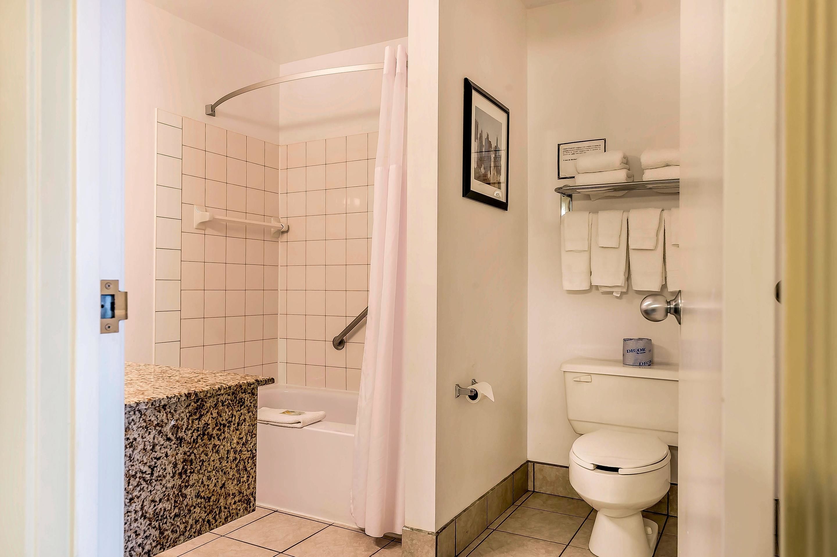 Un baño con ducha, inodoro y lavamanos con encimera de granito.