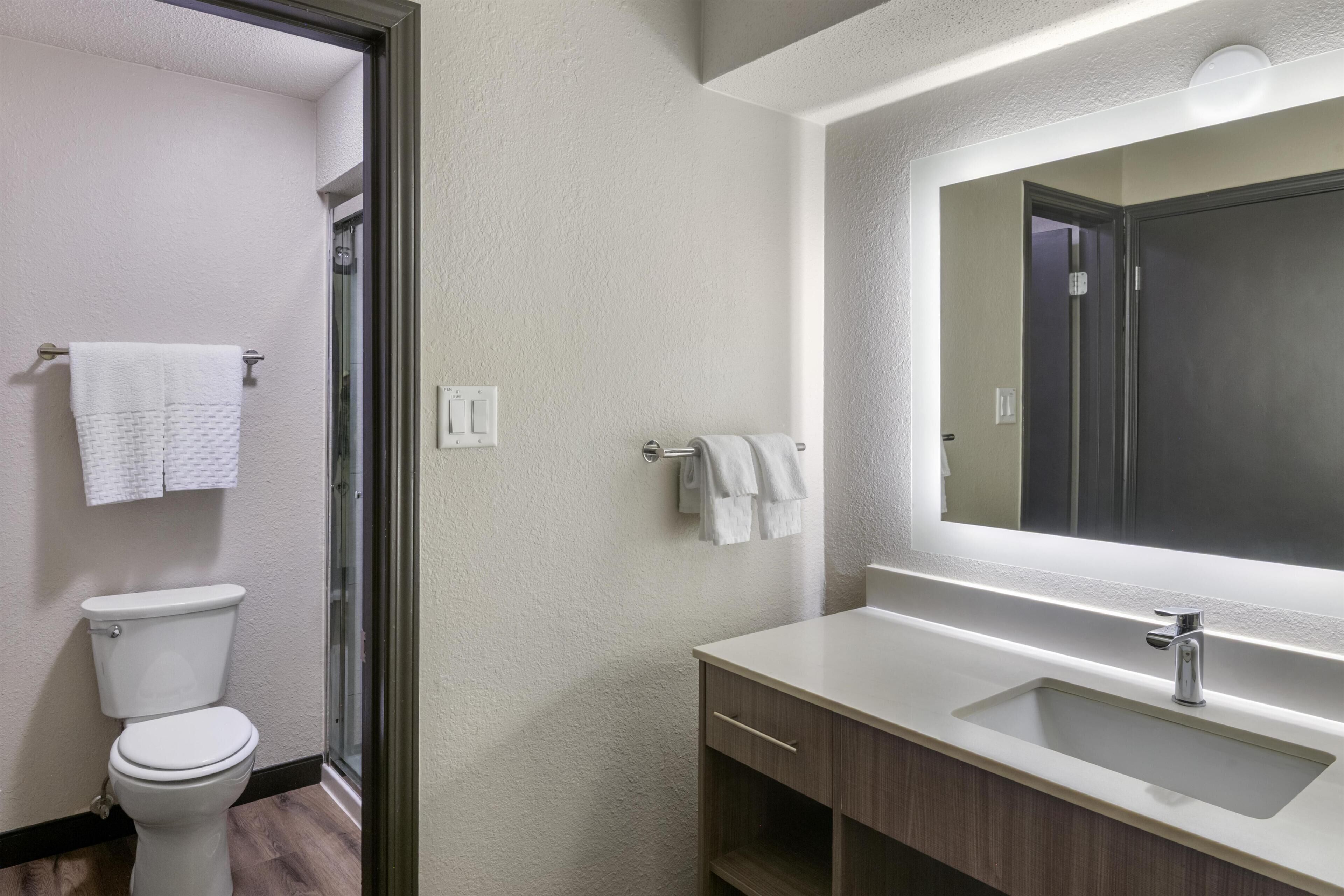 A bathroom with a toilet, a sink, and a mirror.