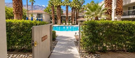 A pool area with a closed gate, surrounded by palm trees and a mountain view.