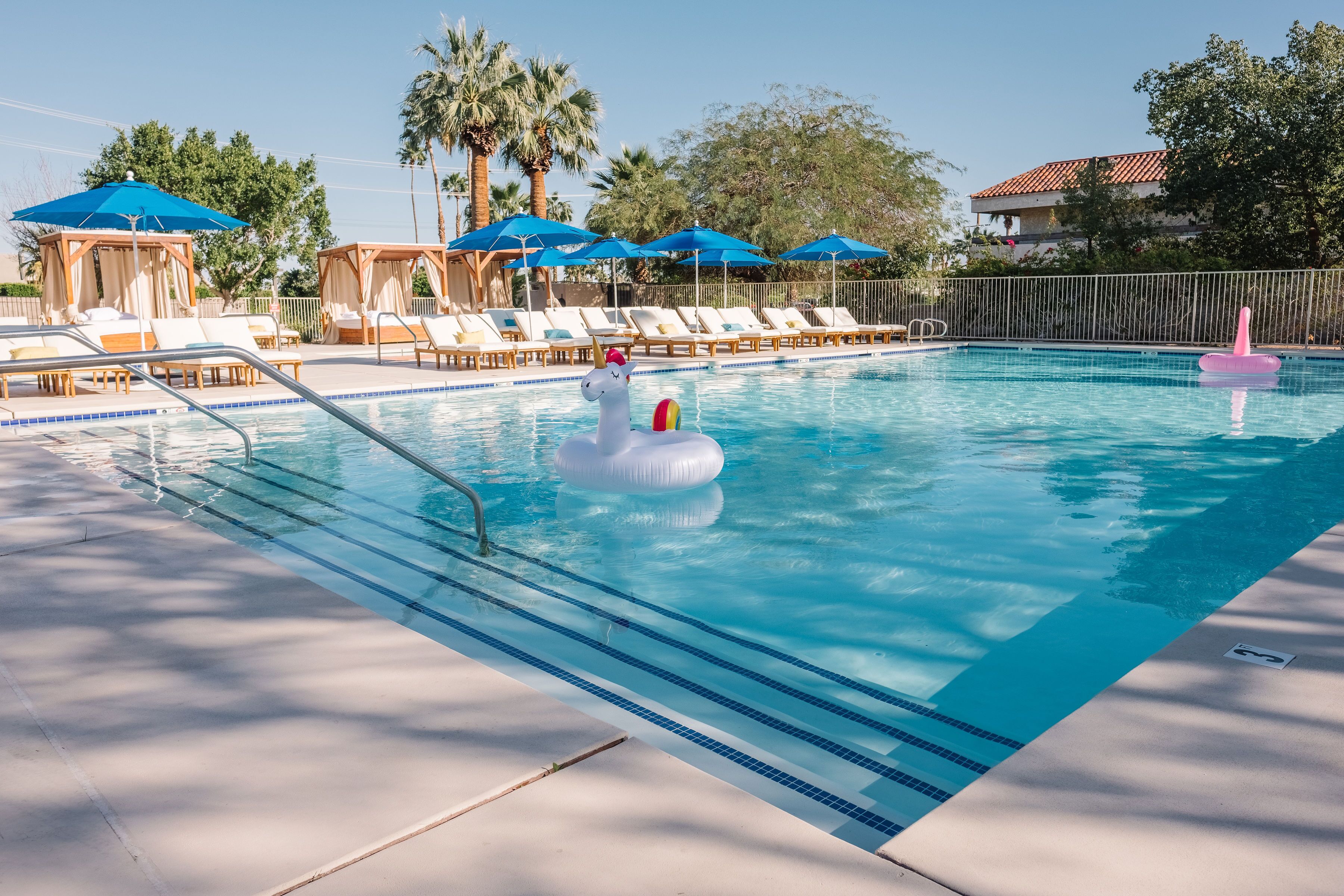 A swimming pool with lounge chairs and umbrellas, surrounded by palm trees and a building in the background.