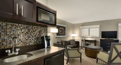 Holiday Inn & Suites Duluth Downtown by IHG