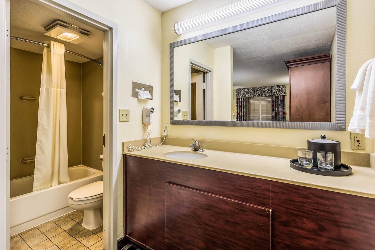A bathroom with a shower, toilet, vanity with a sink, and a large mirror.