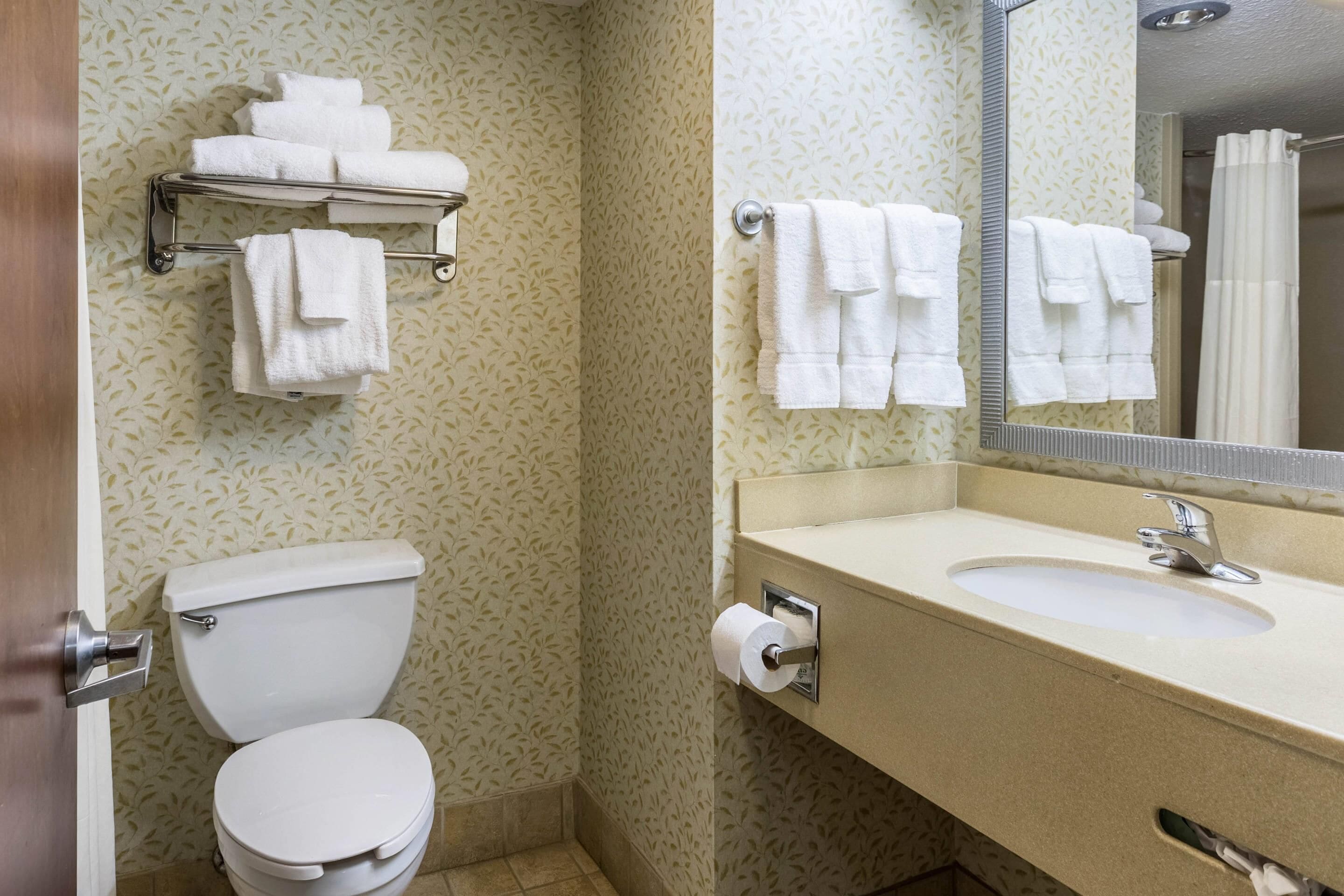 A bathroom with a toilet, sink, and towel rack.