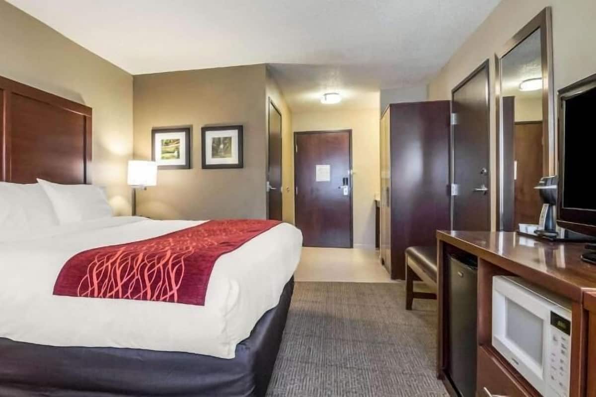 A hotel room with a bed, a desk with a television, a door, and framed pictures on the wall.