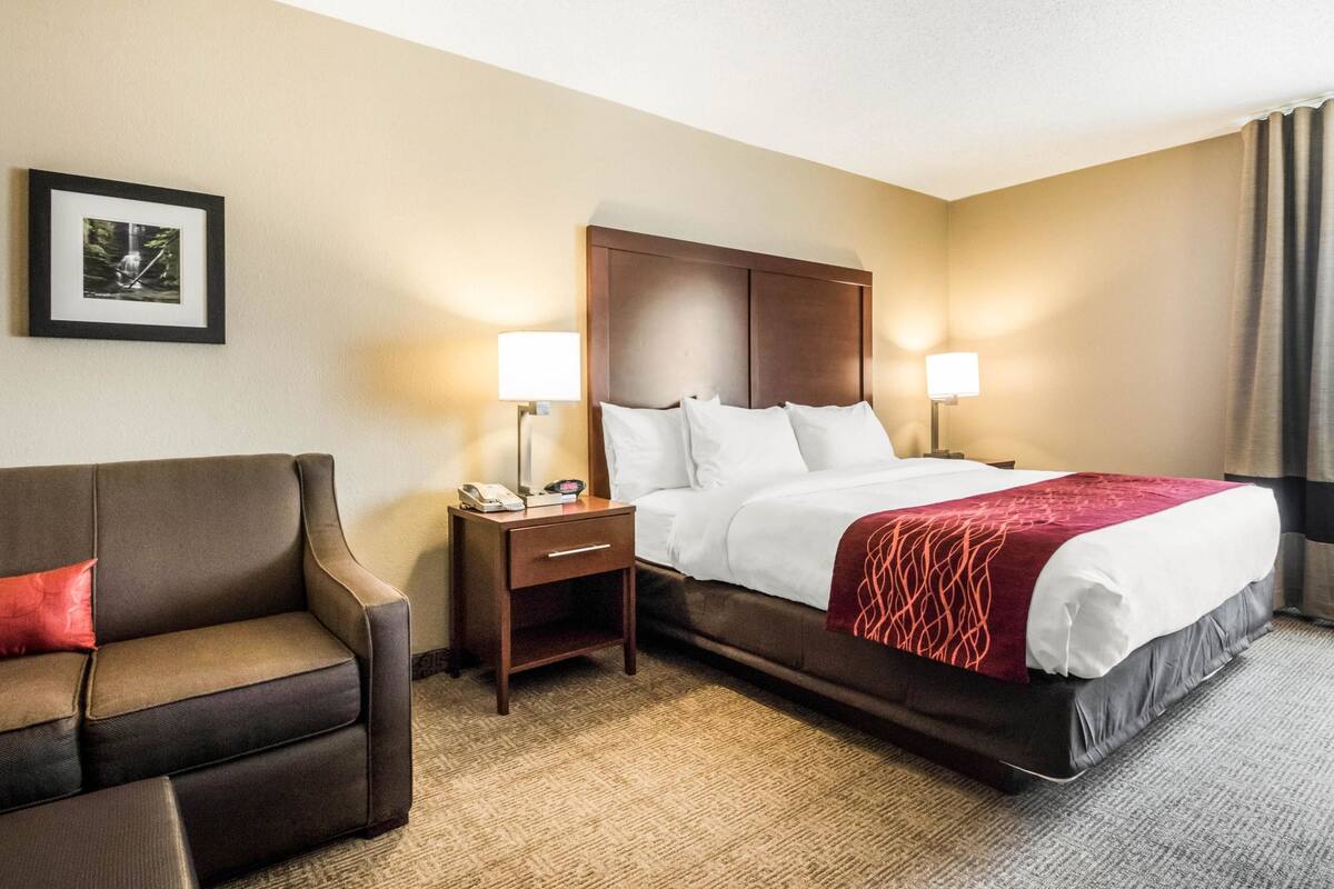 A hotel room with a bed, a sofa, a nightstand, and a lamp.