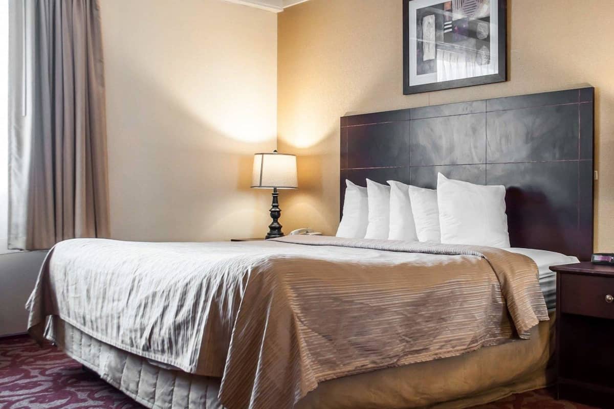 premium bedding, pillow-top beds, in-room safe, desk