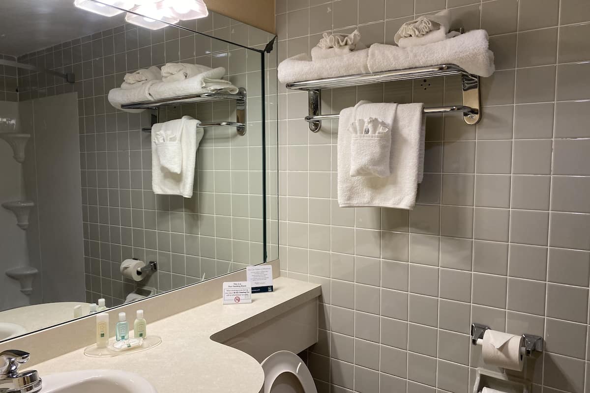 bathtub, free toiletries, hair dryer, towels
