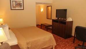 Una habitación de hotel con cama, escritorio, televisor y silla.