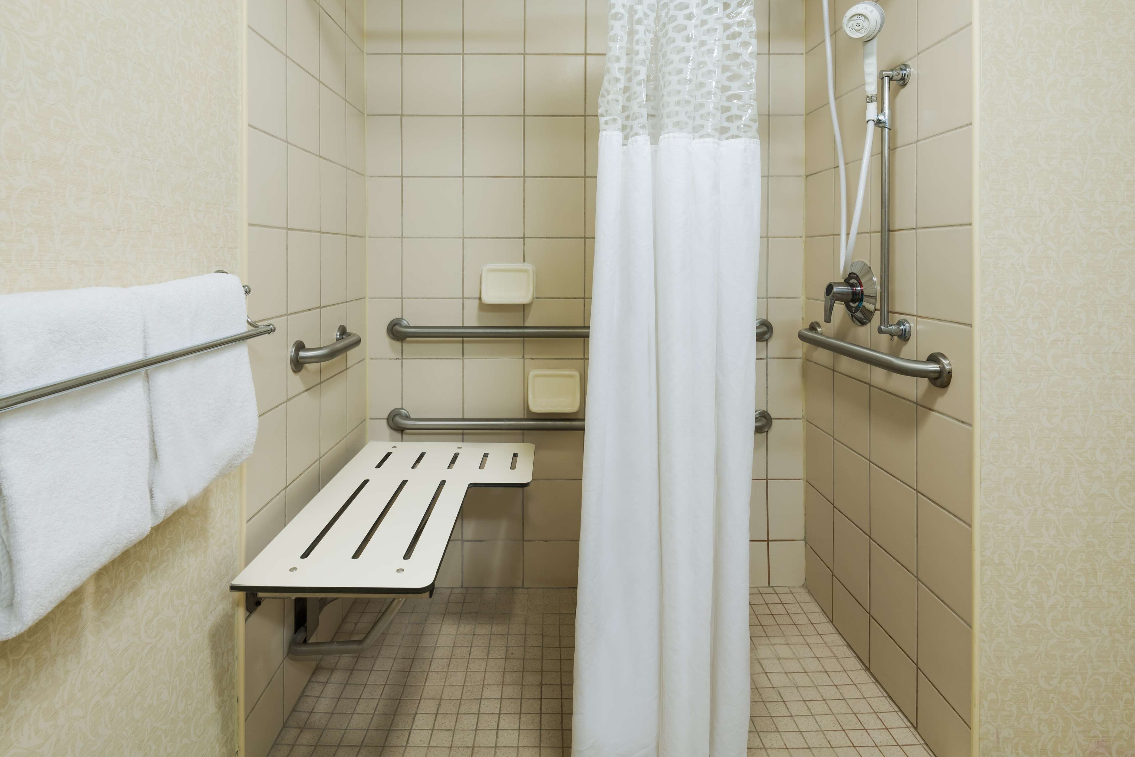 one queen bed, non-smoking, accessible tub | bathroom | combined shower/bathtub, free toiletries, hair dryer, towels