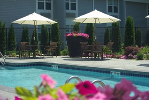 Une piscine entourée d’une clôture et de verdure, avec des chaises et des parasols à proximité.