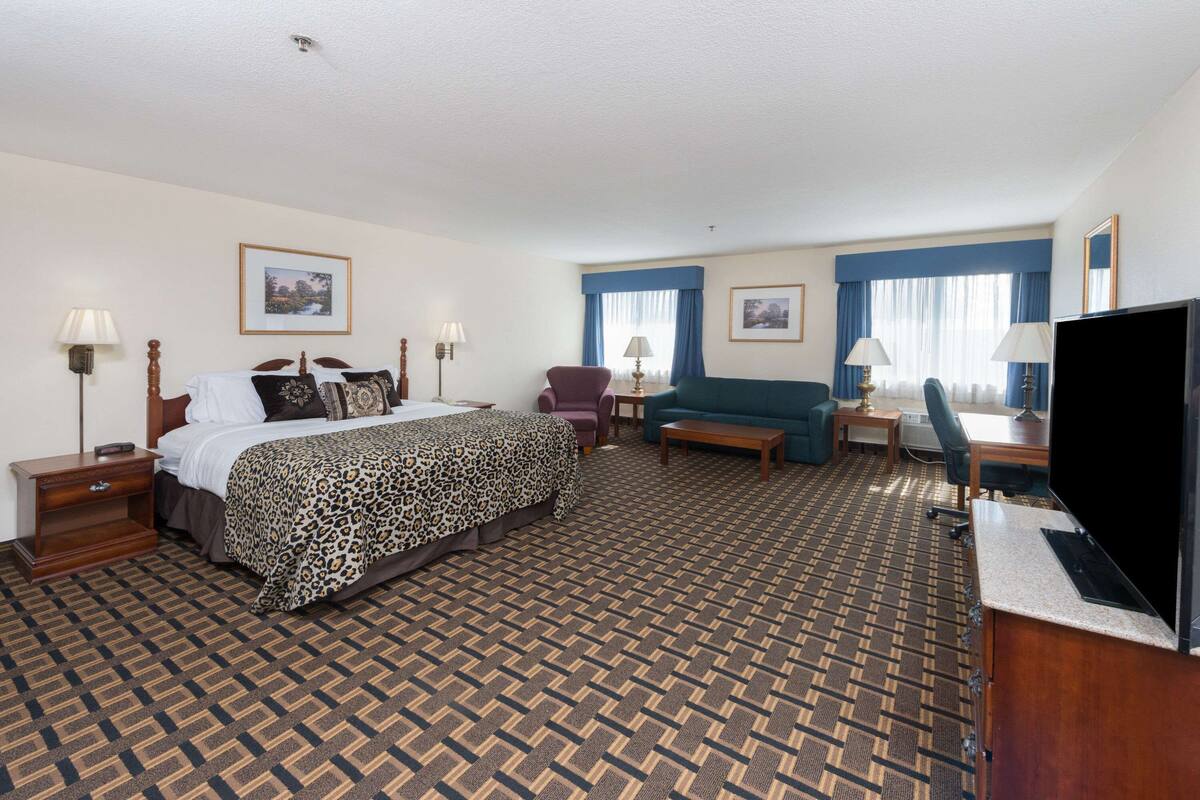 Une chambre d’hôtel comprenant un lit, un canapé, un bureau avec une télévision et une chaise.