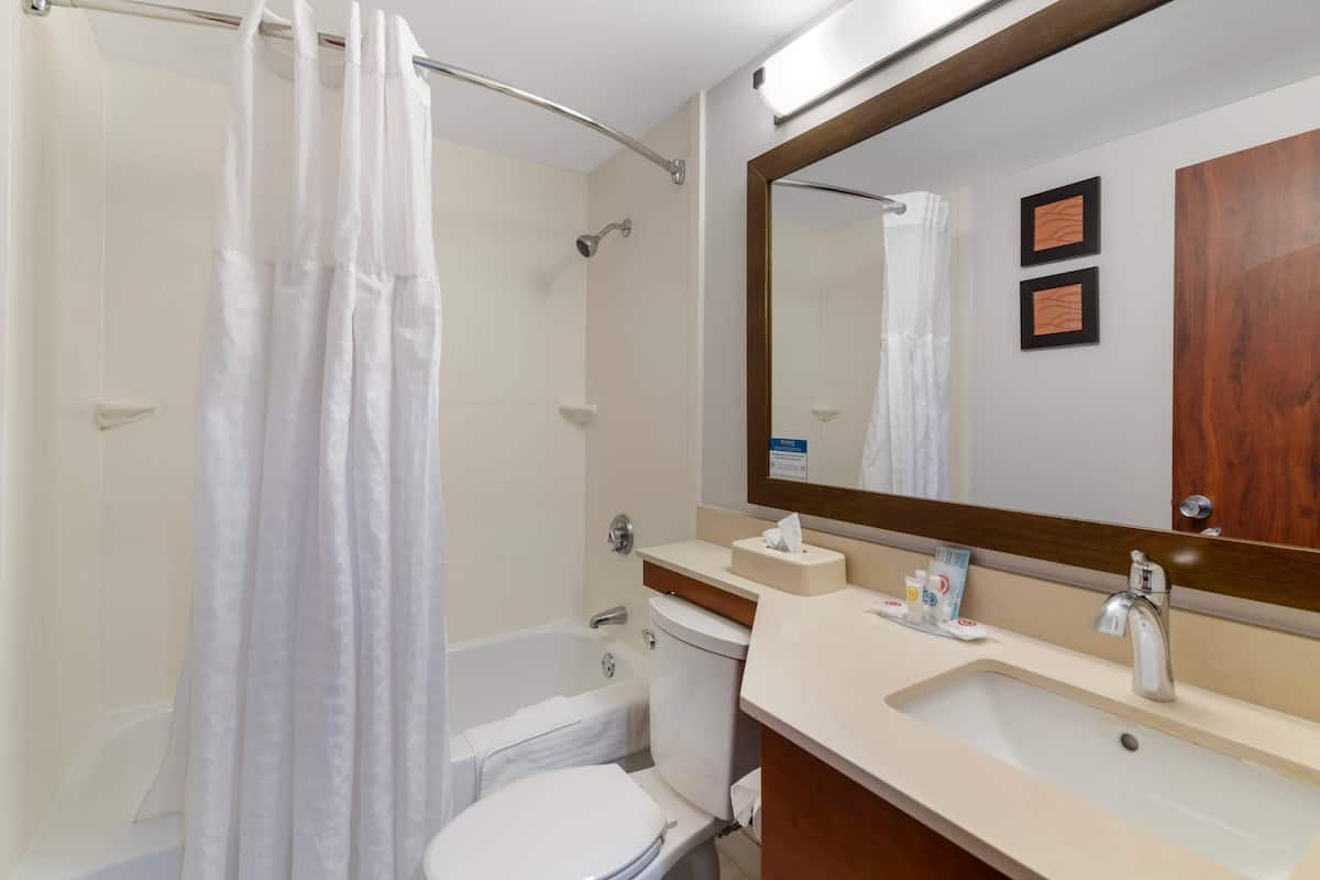 A bathroom with a shower curtain, a bathtub, a toilet, a sink, and a mirror.