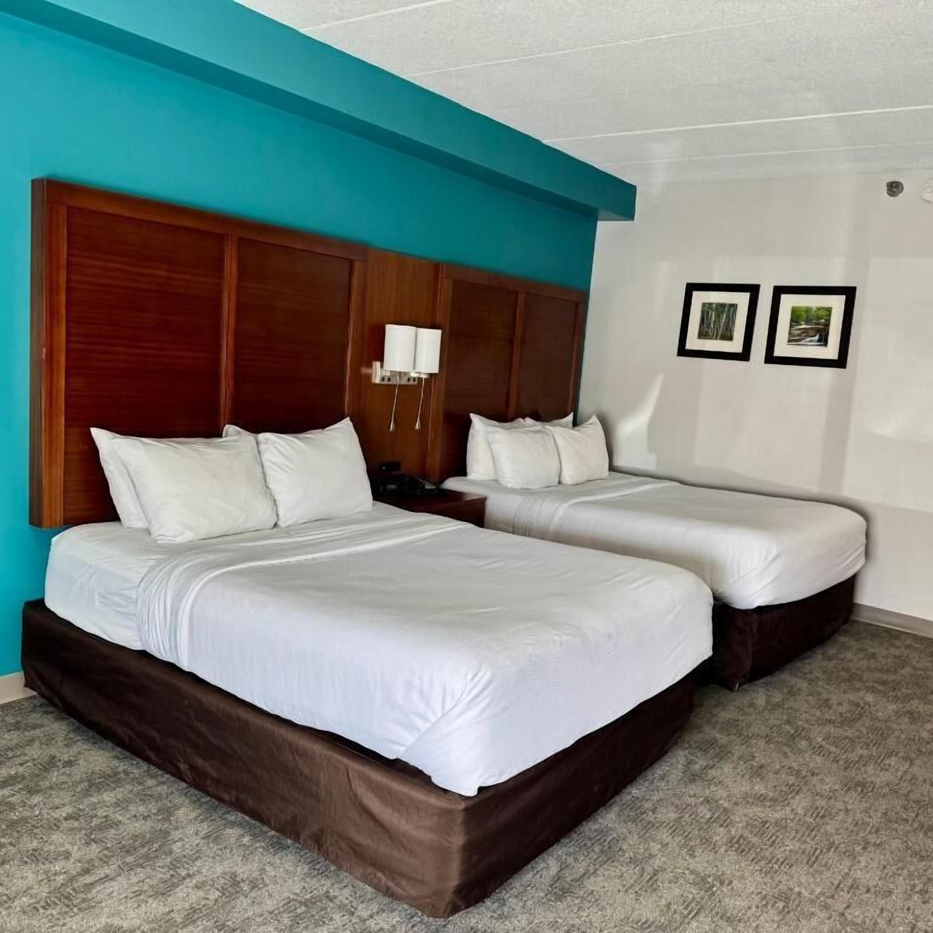 Habitación de hotel con dos camas, cabecero de madera, pared de acento color turquesa y piso alfombrado.