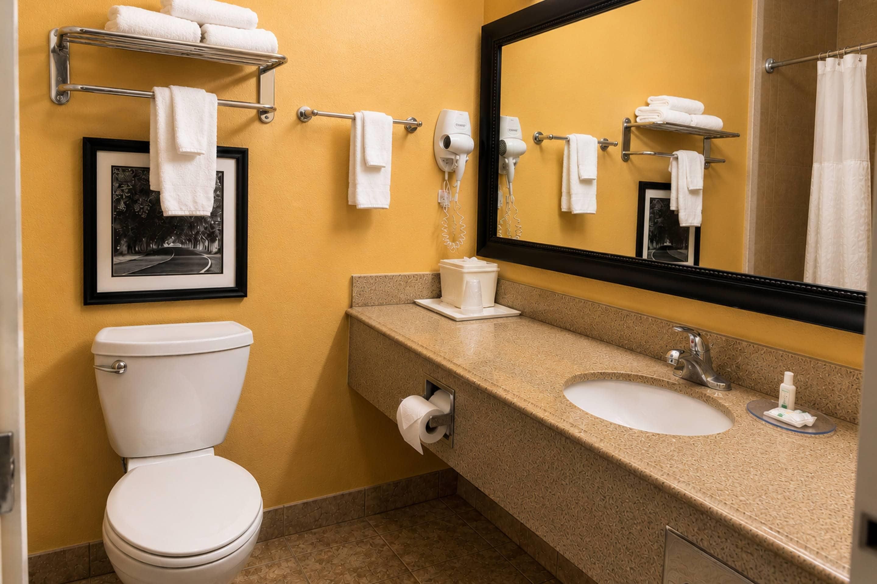 A hotel bathroom with a toilet, sink, and a large mirror.