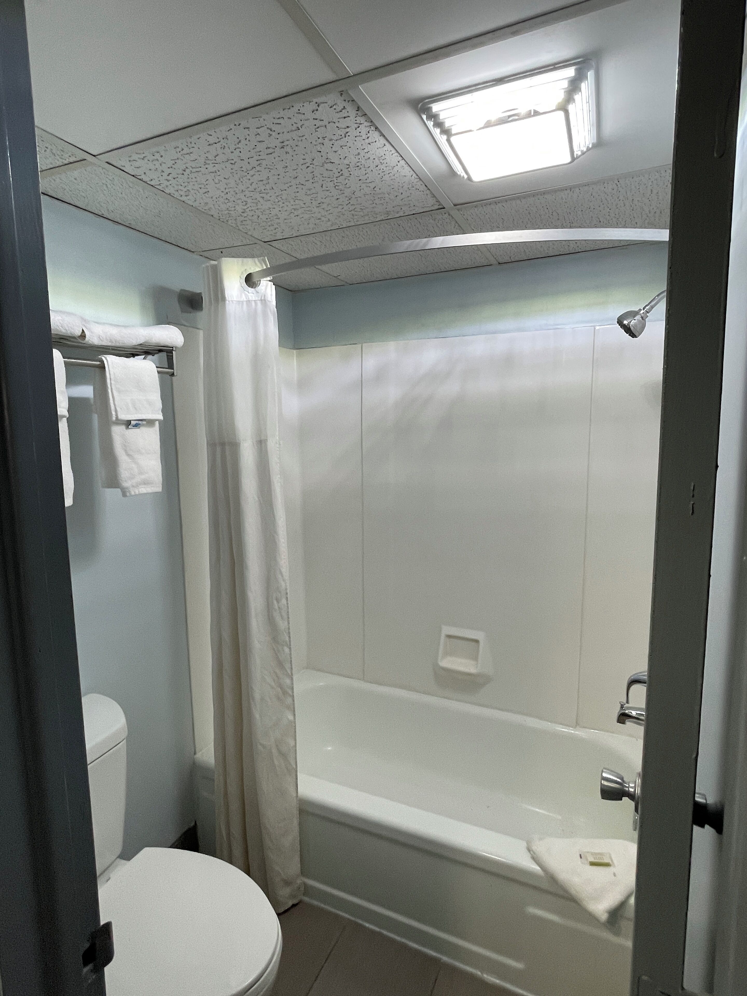A bathroom with a toilet, a bathtub, and a shower curtain.