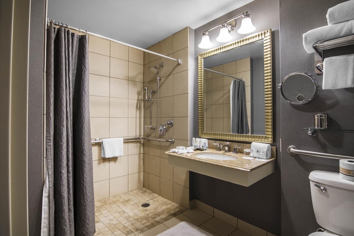 combined shower/bathtub, free toiletries, hair dryer, bathrobes