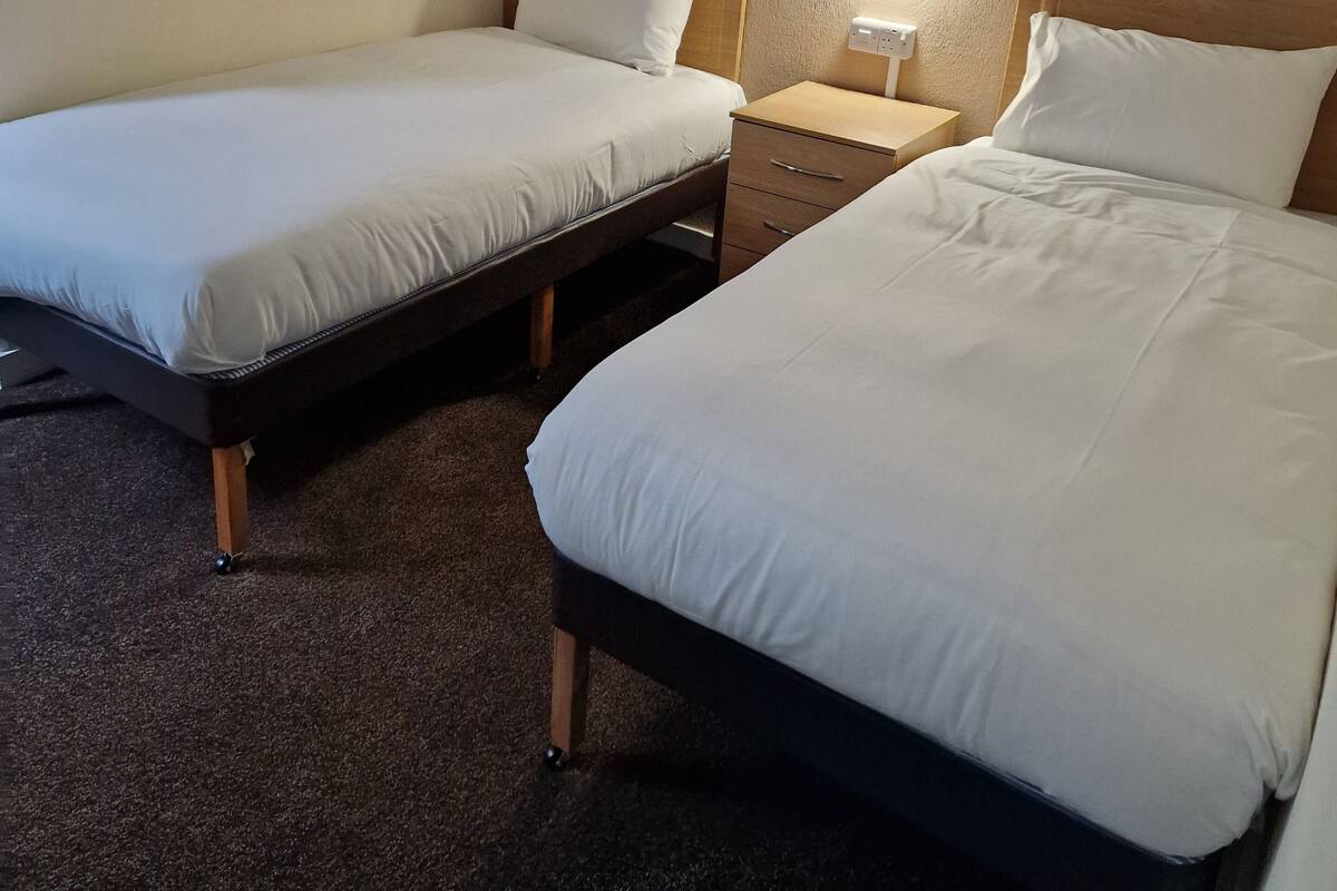 Una habitación de hotel con dos camas individuales, una mesita de noche con lámpara y suelo alfombrado.