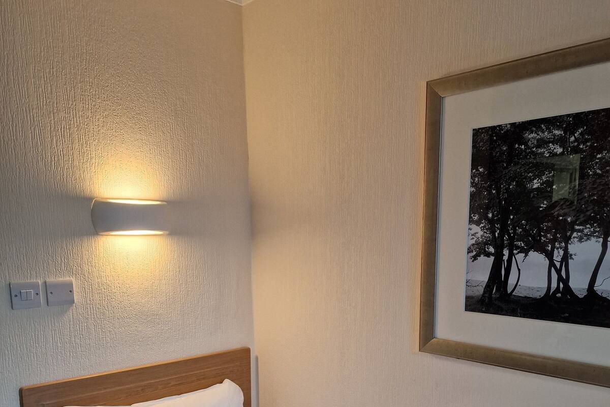 Una cama individual con cabecera de madera, un almohadón blanco y una lámpara fijada a la pared. Se observa un cuadro enmarcado con un paisaje de árboles.